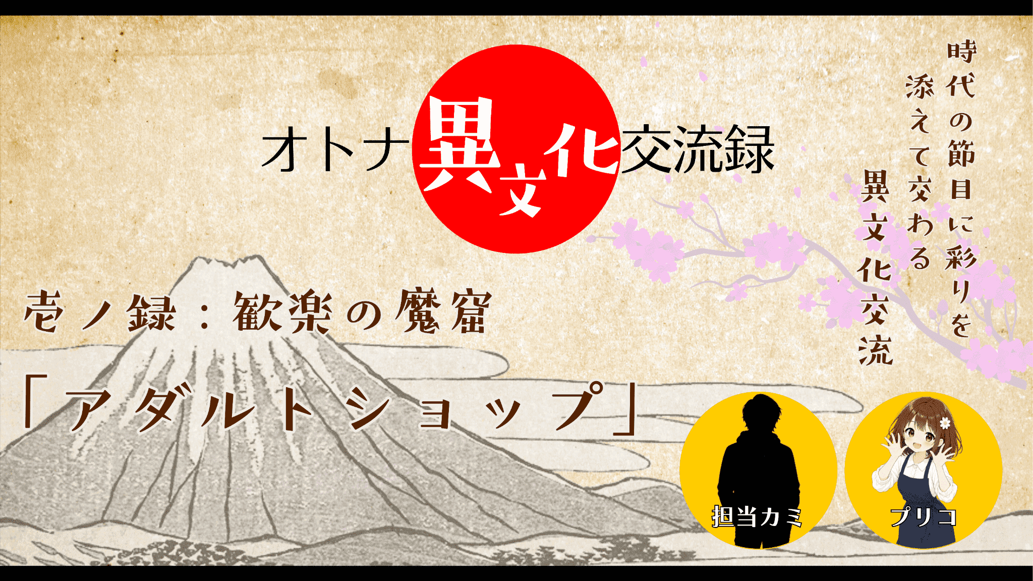 オトナ異文化交流録｜歓楽の魔窟「アダルトショップ」